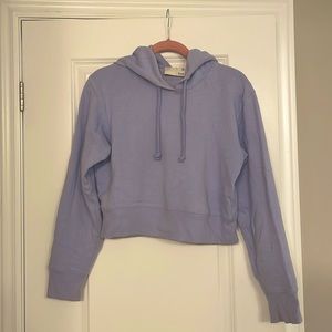 Aritzia cropped hoodie
